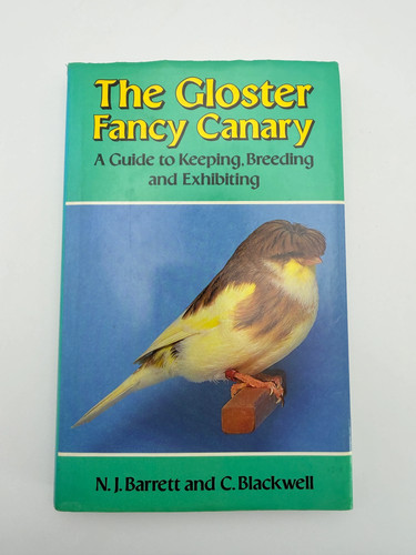 The gloster fancy canary a - the,