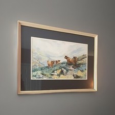 Highland Cattle Framed Glazed