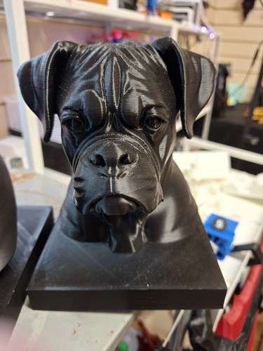 Boxer dog bust statue - dog,