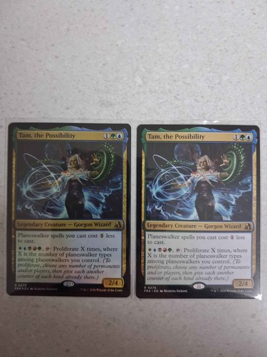 Tam the possibility foil - -,