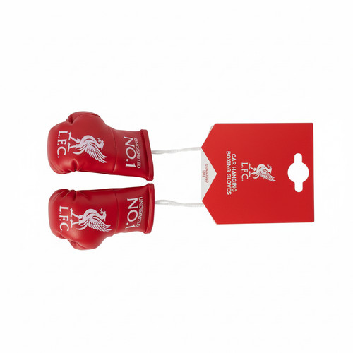 Mini liverpool hanging - mini,