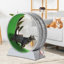 Cat Exercise Wheel with Safe