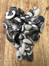 Shell Jasper Tumblestone