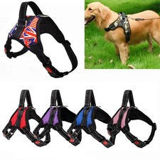 Dog Harness No Pull For Small