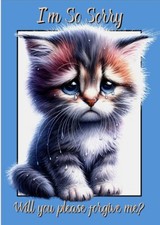 I'm Sorry A5 Card I'm So Sorry