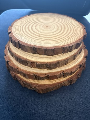 Natural wood slices for - wood,