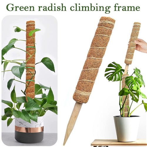Plant coir totem - plant,