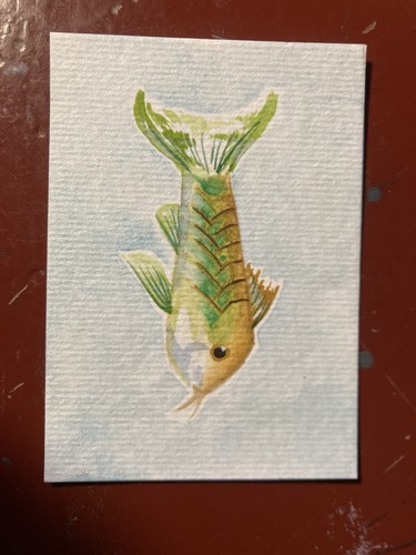Aceo watercolour aquarium - aceo,