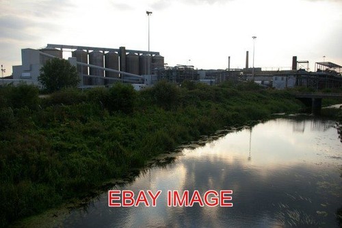 Photo wretton sugar beet - ,