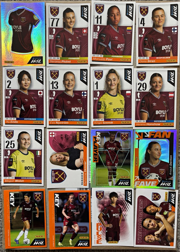 Panini barclays wsl west - barclays,