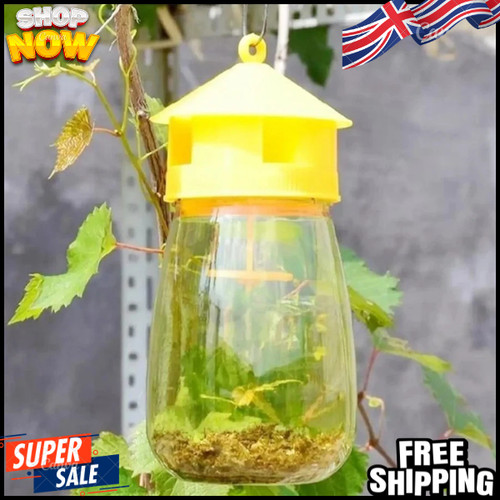 Reusable fruit fly trap killer - reusable,