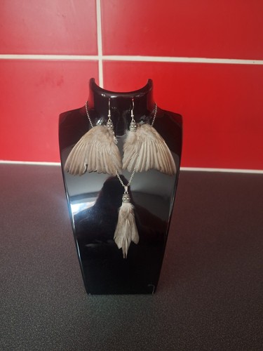 Taxidermy earrings and - taxidermy,