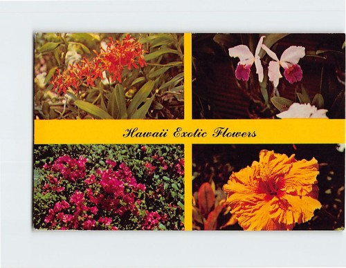 Postcard hawaii exotic - hawaii,