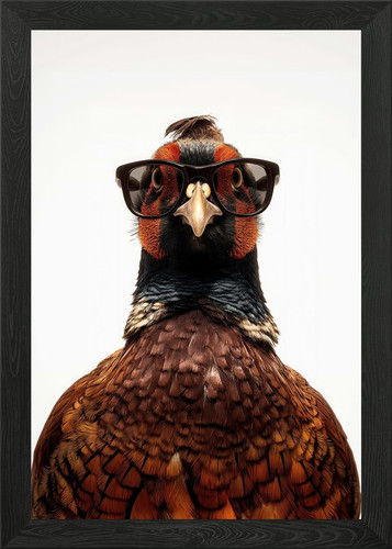 Cool pheasant bird with - pheasant,