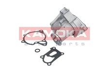 Water pump T0161 KAMOKA for