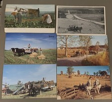T5522     WORK HORSES    POSTCARD LOT,  6  DIF. CARDS