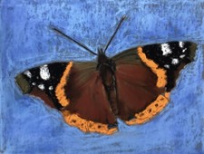 Original Painting Wildlife