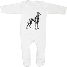 'Doberman Pinscher' Baby