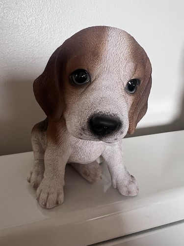 Vivid arts beagle puppy - arts, dog