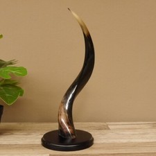 1 Piece Kudu Exterior Horn