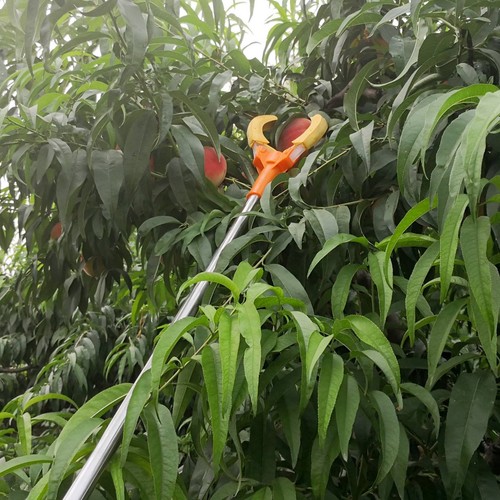 Fruit picking pole lightweight - pole,