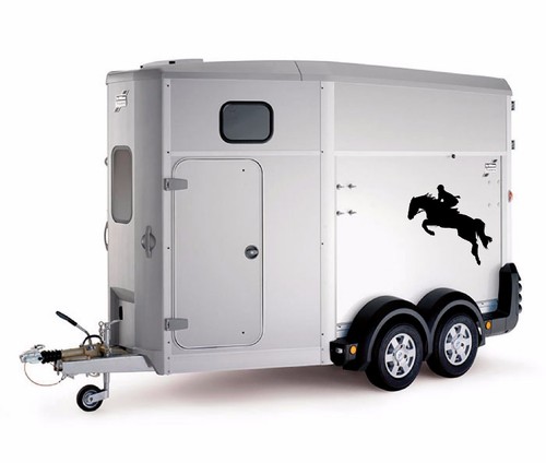 Horse riding equestrian - horse,
