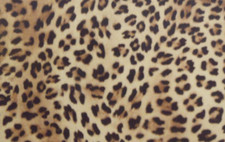 HTV stretch joy compatible