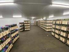 Commercial walk in Flower Cold