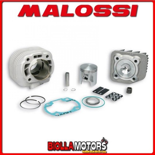 318437 malossi mhr cylinder - 318437,