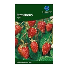 Vegetable Seeds, Herb Seeds, Fruit Seeds -Garden Treasures Easy Grow Free Uk P&P