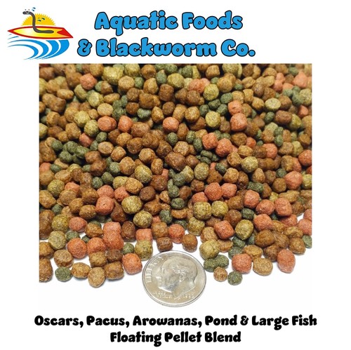 Large fish floating pellet - fish,