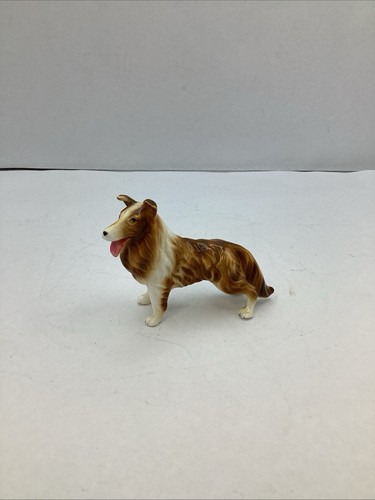 Small foreign collie dog - small,