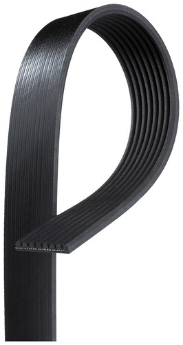 Fits gates 8pk2585hd - fits,