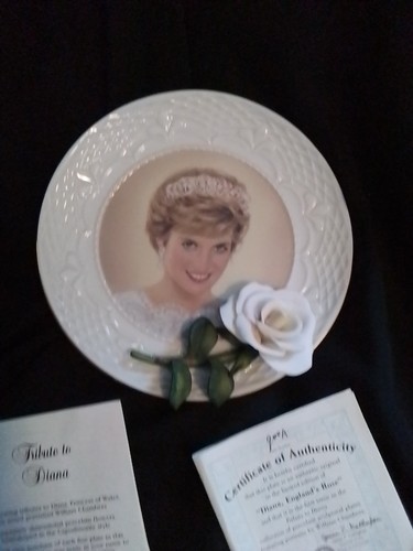 Princess diana plate - princess,