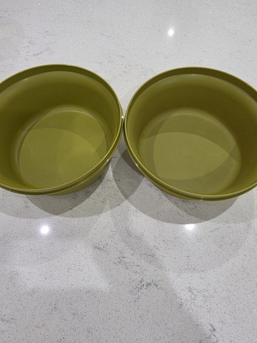 Tupperware vintage olive - olive, green