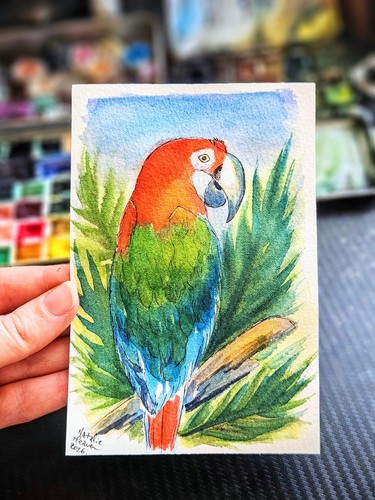 Tropical parrot watercolour - tropical,