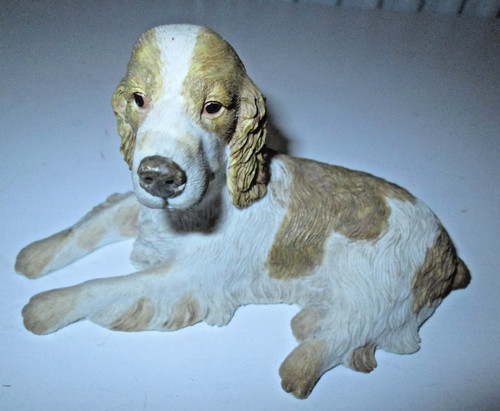 Springer spaniel cocker - spaniel/,