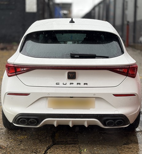Cupra leon custom stainless - cupra,