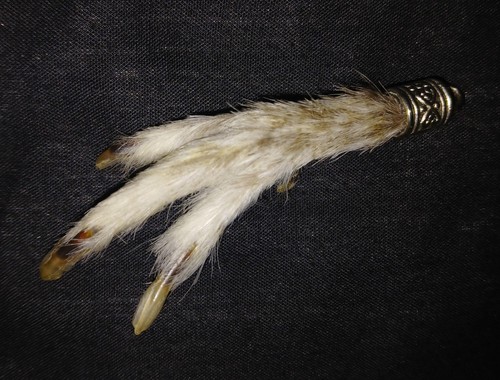 Red grouse foot claw - red, keyring