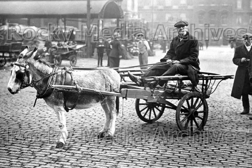 Fqq social history coster - fqq-30, history,