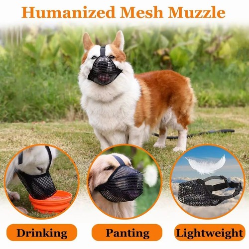 Drinkable anti biting chewing - drinkable, anti-biting