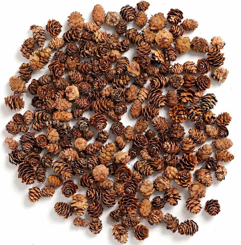 200 natural mini pine - natural,