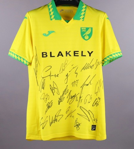 Norwich city 2025 squad - city,