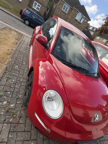 Volkswagen beetle - volkswagen,