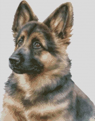 Complete counted cross stitch - complete,
