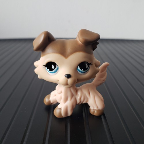 Littlest pet shop lps rare - littlest,