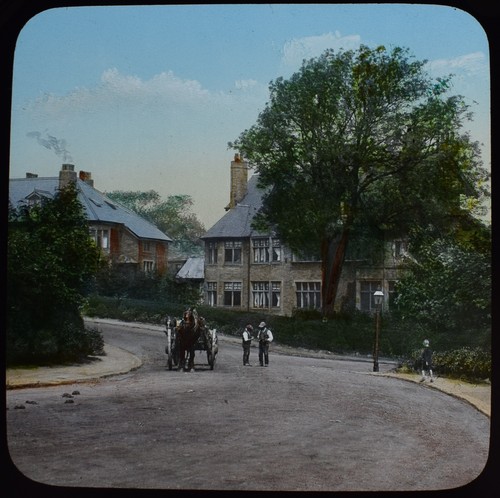 Horse and cart c1911 edwardian - horse,
