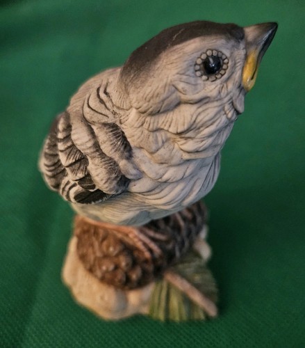 Boehm fledgling baby - boehm,