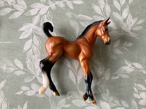 Bay foal - bay,