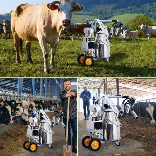 230v portable stainless - portable, steel